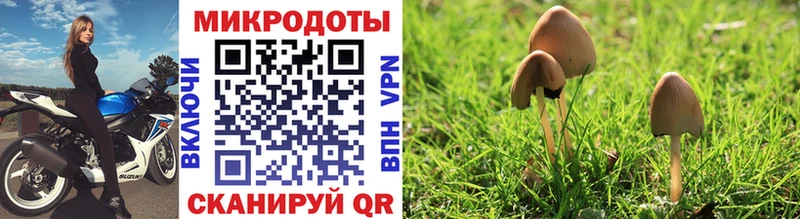Галлюциногенные грибы GOLDEN TEACHER  закладки  Закаменск 